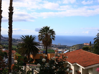 Fototapeta na wymiar View in the city of La Orotava in Tenerife