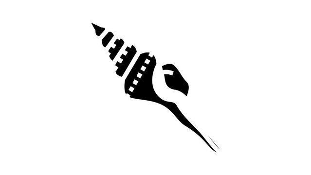 spindle sea shell beach glyph icon animation