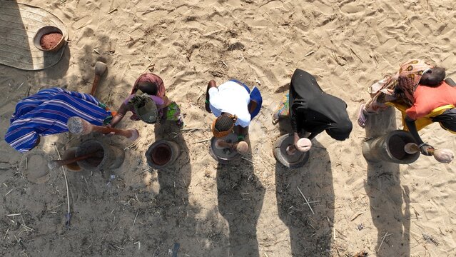 Five women hitting and grinding sorghum using an ancient traditional method, Niger, Africa