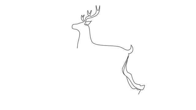 Animated self drawing of continuous line draw forest wild deer. Standing wild reindeer for national park logo. Elegant mammal animal mascot for nature conservation. Full length single line animation