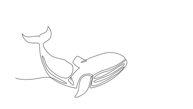 Self drawing animation of single line draw businessman riding huge dangerous blue whale. Professional entrepreneur male character. Successful business man. Continuous line draw. Full length animated