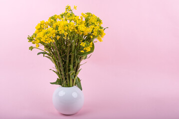 ピンクバックの花瓶に挿した菜の花
