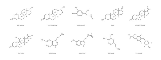 Different hormons icons set. Estradiol, progesterone, testosterone, adrenaline, DHEA, cortizol, dopamine, serotonin, melatonin, thyroxine chemical molecular structure. Vector outline illustration