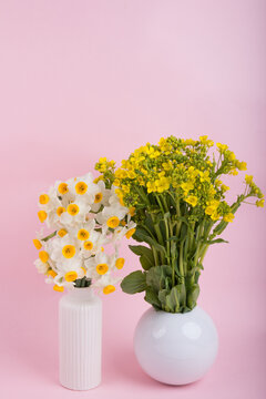 ピンクバックの花瓶に挿した菜の花と水仙の花