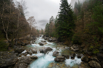 River landscape with forest and snowy mountains in the background