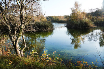 Autumn in the dunes of the Hague in Zuid-Holland