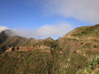 Fototapeta na wymiar View on the Teno Rural Park in Tenerife