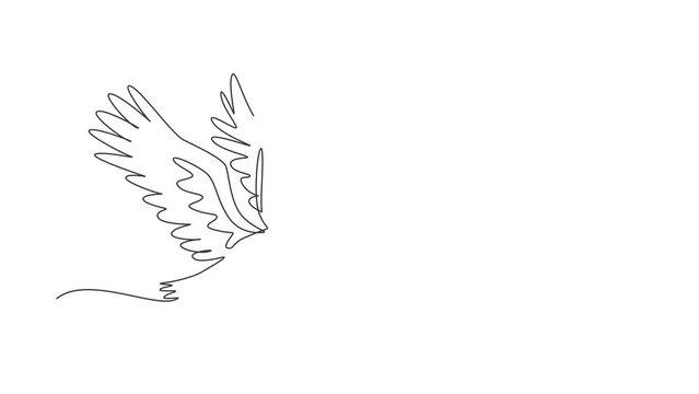 Animated self drawing of continuous line draw storks flying in sky. Bird as symbol for baby shower, delivery, news, pregnancy. Spring mood concept. Bird life nature. Full length single line animation