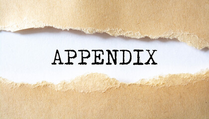 Appendix word written under torn paper. - obrazy, fototapety, plakaty