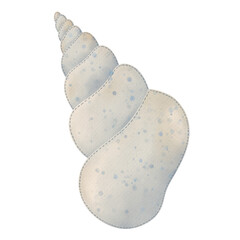  Cute watercolor seashell. Watercolor life marine clipart.