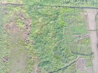 Fototapeta premium aerial view of land mapping by unmaned aerial vehicle in Bogor, Indonesia.