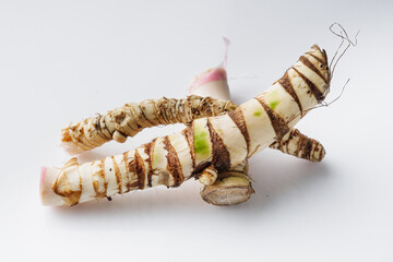 fresh yarrow root on a white acrylic background