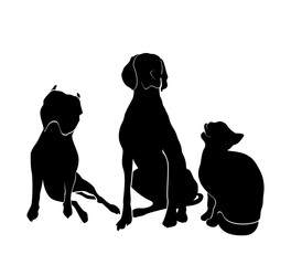 Silhouettes of dogs and cat. Sitting American Staffordshire Terrier, Pitbull, Weimaraner and cat isolated on white background.