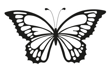 Icono de mariposa con líneas negras sobre un fondo blanco liso y aislado. Vista de frente y de cerca - obrazy, fototapety, plakaty