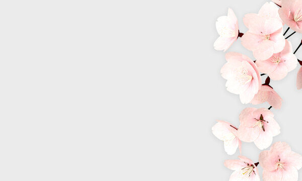 pink blossom