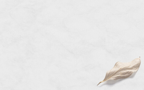 paper and feather