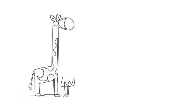 Animated self drawing of continuous line draw little girl measuring her height with giraffe height chart on wall. Kid measures growth. Child measuring height concept. Full length single line animation