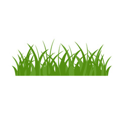 Fototapeta premium Green Grass Isolated on White Background,flowers