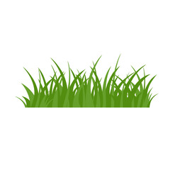 Fototapeta premium Green Grass Isolated on White Background,flowers