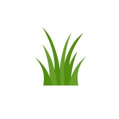 Green Grass Isolated on White Background,flowers