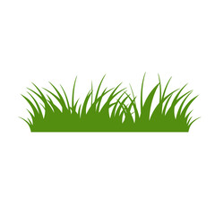 Fototapeta premium Green Grass Isolated on White Background,flowers