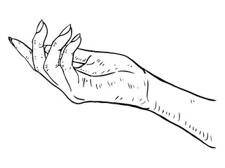 Hand drawn human hand illustration can be use for social media banner background clip art marketing