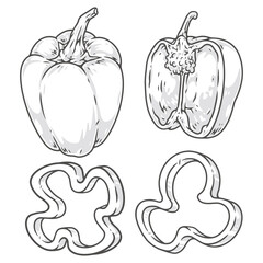 Bell paprika monochrome set elements