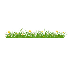 Fototapeta premium Green Grass Isolated on White Background,flowers