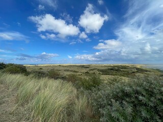 Fototapeta premium landscape with sky