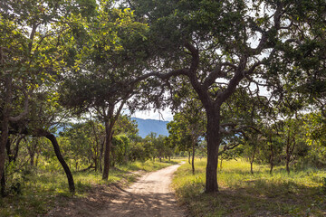 natural landscape in Serra do Cipo, State of Minas Gerais, Brazil