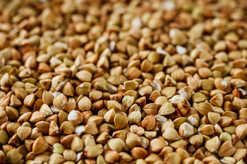 organic raw green buckwheat on a white background