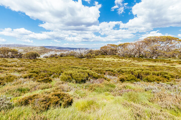 Wallace Hut Trail near Falls Creek in Australia