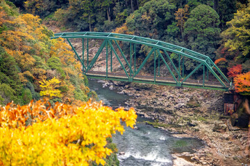 京都の紅葉