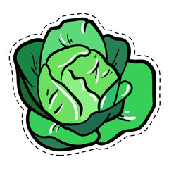 Cabbage colorful sticker