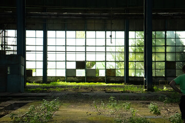 Nature growing from an old abandoned factory, plants rising from metal, stone, sand, mother nature