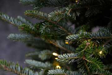 Cropped shot of a christmas tree branch decorated with yellow lights. Close up, background, copy space for text.
