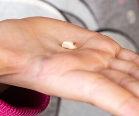 The child holds a milk tooth incisor in his hand. Extraction of milk teeth in children. Children's dentistry. Close-up