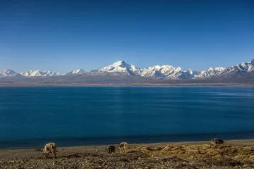 Photo sur Plexiglas Shishapangma Pekucuo lake and Shishapangma snow mountain group in Xigaze