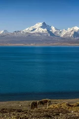 Fotobehang Shishapangma Pekucuo lake and Shishapangma snow mountain group in Xigaze