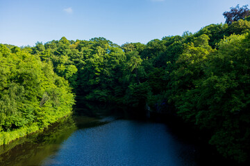 Durham England: 2022-06-07: Durham River Wear on a sunny summer day. View from river wear with lush green trees