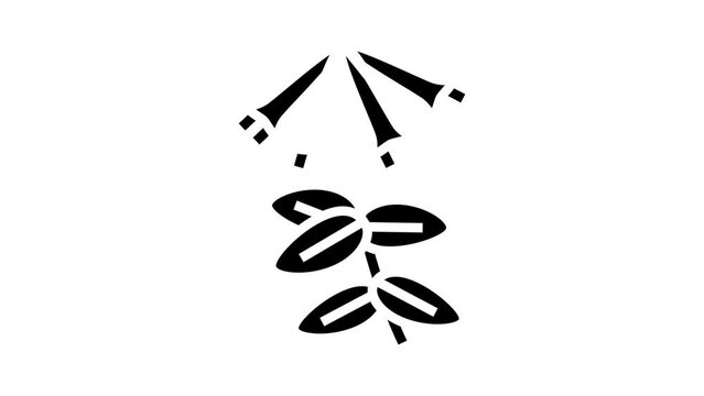 honeysuckle liana glyph icon animation