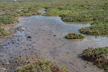 coast line in canarias