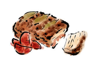 フレスケスタイの手描きイラスト素材