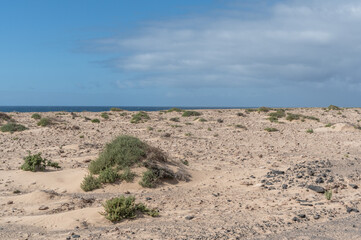 landscape in canarias