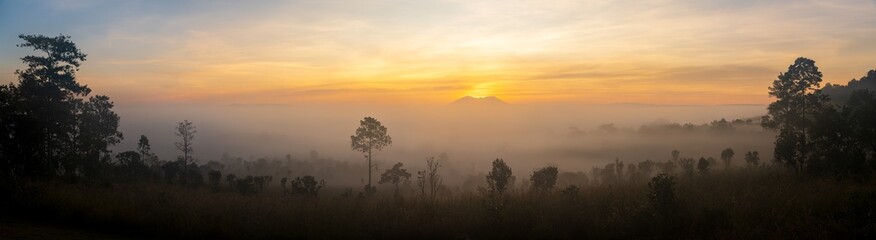 Panoramic beautiful sunrise landscape from the forest in the national park. Foggy clouds above tree, Thailand.