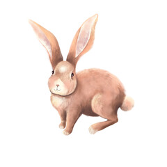 Fototapeta na wymiar Cute Rabbit character digital illustration