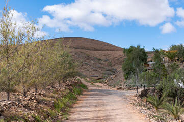 Fototapeta na wymiar view in fuerteventura