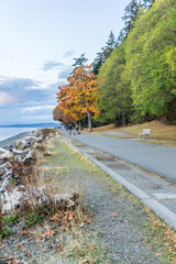 Autumn Lincoln Park Walkway