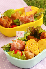 遠足・行楽の手作りお弁当