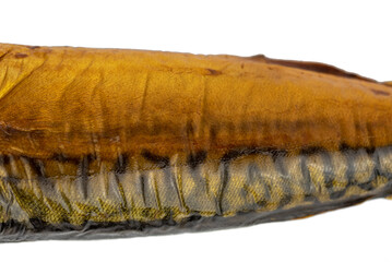 the skin of smoked mackerel fish